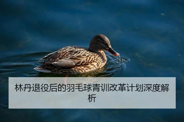 林丹退役后的羽毛球青训改革计划深度解析
